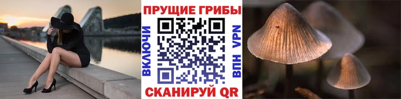 Псилоцибиновые грибы мухоморы  Топки 